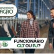 Contratar funcionário CLT ou PJ no agronegócio - Imagem de funcionários de fazenda cuidando do gado