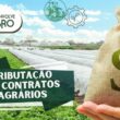 Tributação de contratos agrários - Imagem de plantação de hortaliças em terra de arrendamento