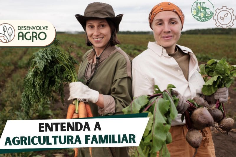 Agricultura familiar - Imagem de agricultoras com colheita em sua propriedade rural da família