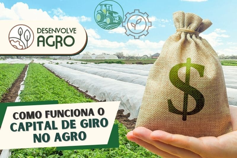 Capital de giro no agronegócio - Imagem de produtor rural com saco de dinheiro na mão
