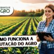 Como funciona a tributação no agronegócio