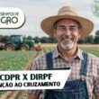 Cruzamento do LCDPR e DIRPF - Imagem de agricultor feliz em sua propriedade rural