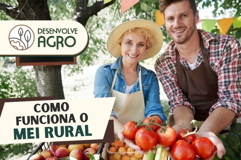 MEI Rural — Imagem de produtores rurais vendendo seus produtos