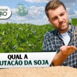 Tributação da soja - Imagem de produtor rural fazendo inspeção na plantação de soja