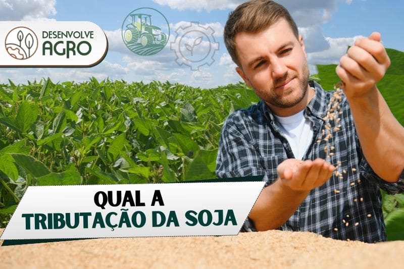 Tributação da soja - Imagem de produtor rural fazendo inspeção na plantação de soja